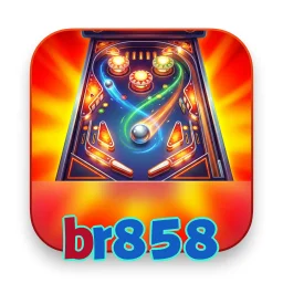 br858